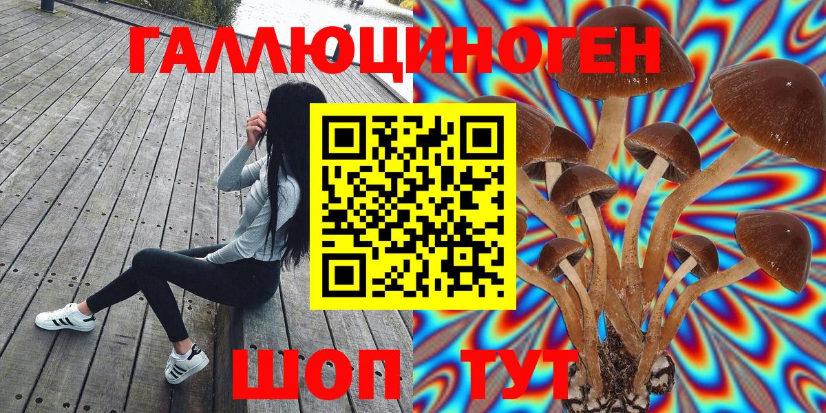 Галлюциногенные грибы GOLDEN TEACHER  Вход с VPN  купить наркотики сайты  Рассказово 